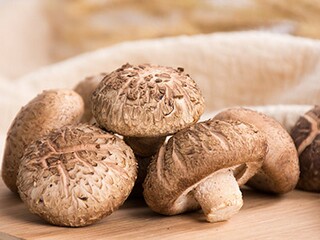 描绘山水的诗词（关于描写山水的诗词）