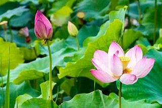 游龙潭沟-五年级-记叙文_游龙潭峡