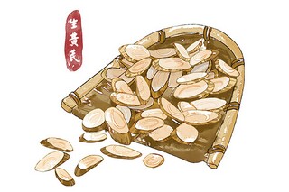 落叶的一生作文400字_落叶的一生作文800字