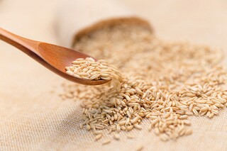 小学英语学习计划（小学英语学期计划表模板）