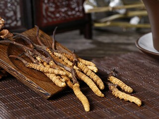 《蒲公英》教案