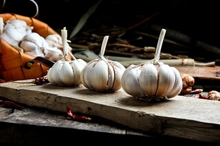 东风破苏轼_东风破苏轼拼音版