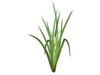 写给高三学生的励志语录（给高三学生的励志寄语）