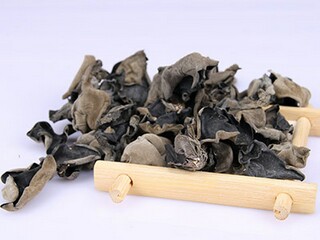 冬天来了优秀作文