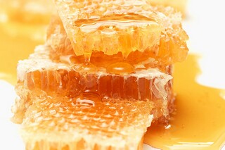 描写清明节的诗句有哪些（描写 清明节的诗句）