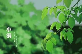 想象篇作文500字 二十年后回故乡_小学六年级想象作文二十年后回故乡