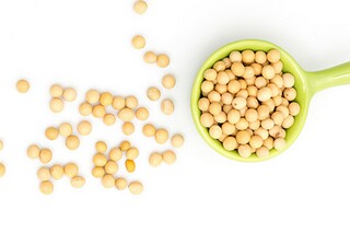 感谢我的老师英语作文_感谢你我的老师英语作文