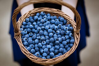 电商述职报告_电商述职报告的ppt怎么做