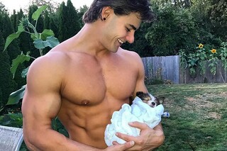 做梦的狗散文_梦见狗的说说