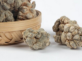 努力奋斗的经典诗句（努力奋斗的唯美诗句）