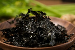 可爱的泰迪狗作文_小狗泰迪的作文