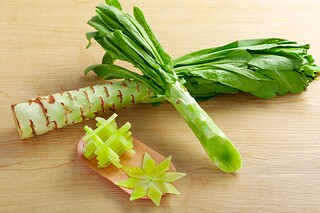 朱熹经典诗句_朱熹最经典一句